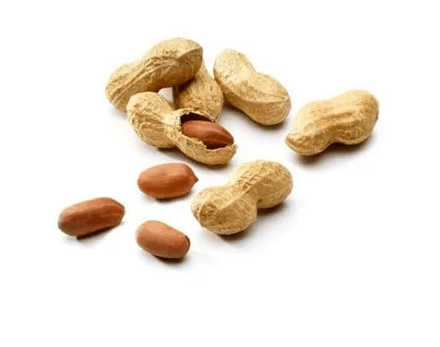 Bean